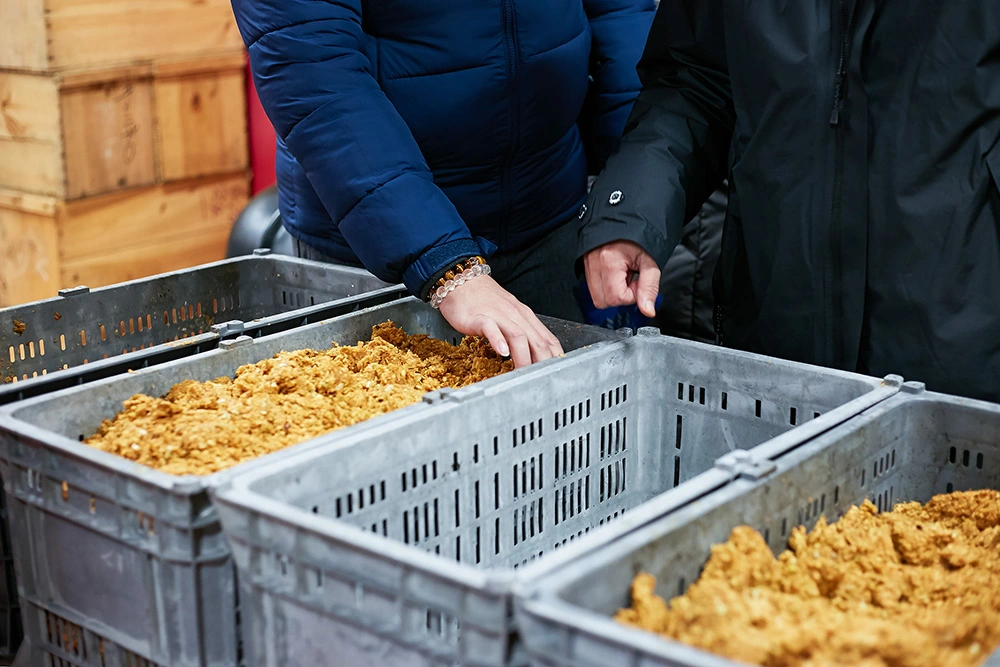 青森名產，蘋果酒