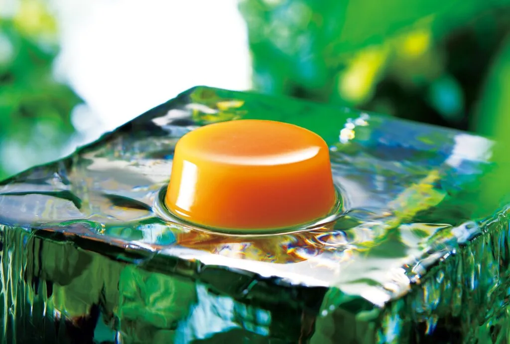 北海道,伴手禮,哈密瓜果凍,HORI