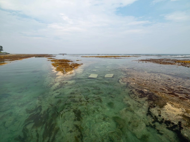 海膽牧場,海膽,北三陸Factory,岩手縣,洋野町