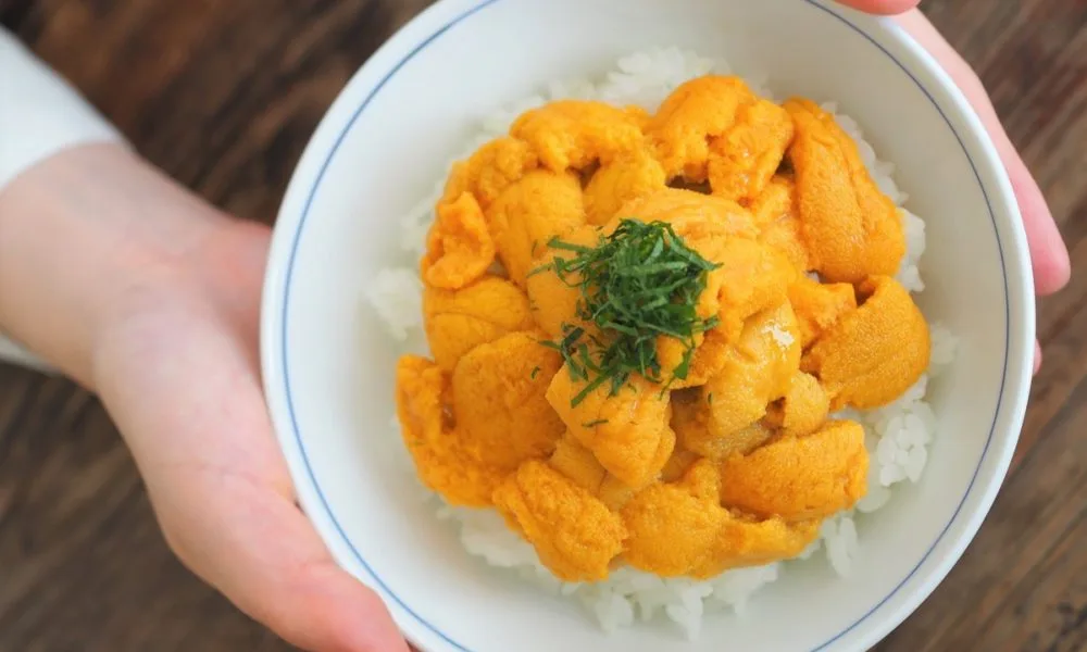 海膽,北三陸Factory,海膽牧場,洋野町,岩手縣