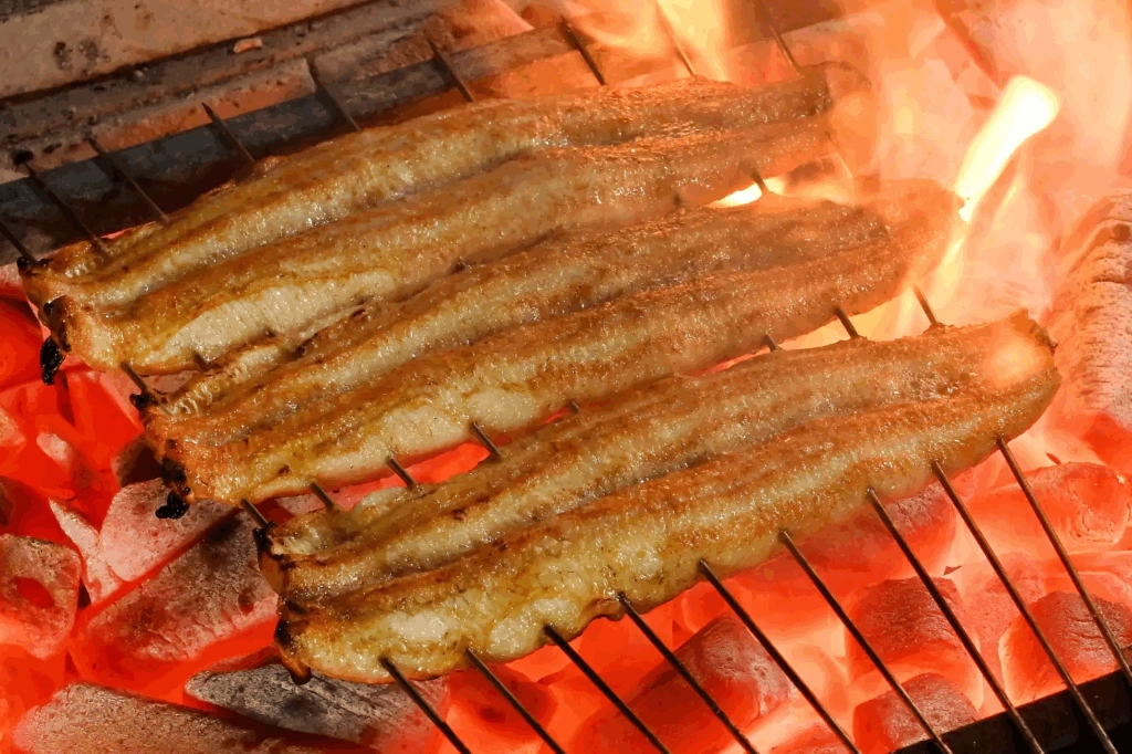 東京鰻魚飯推薦 炭燒 鰻富士 炭燒鰻魚