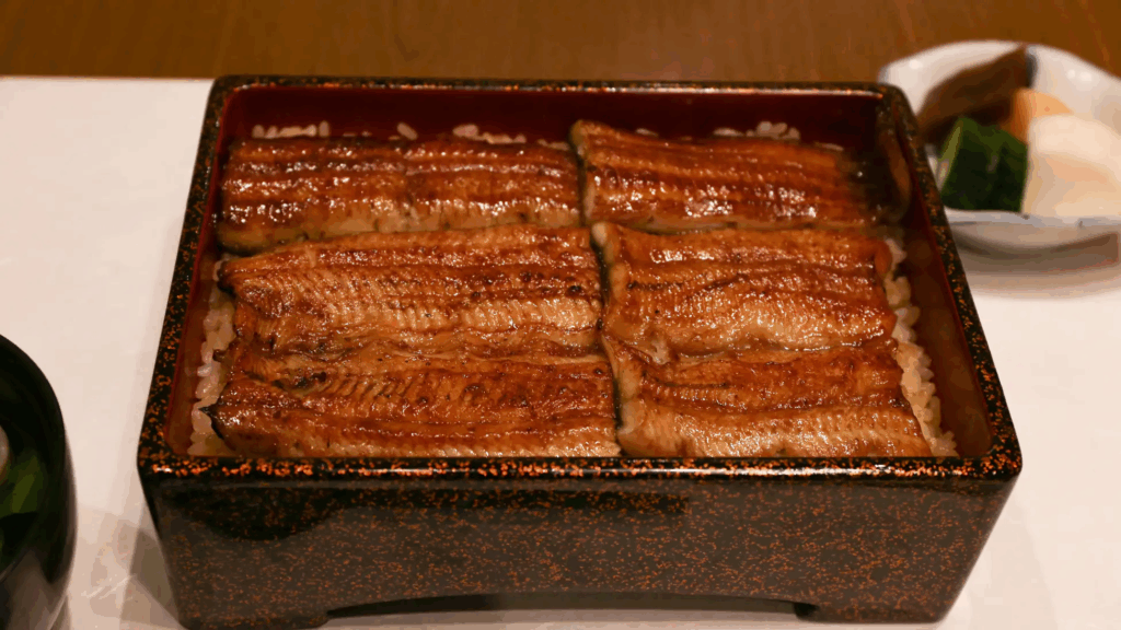 東京鰻魚飯推薦 八重洲 橋本 鰻魚重
