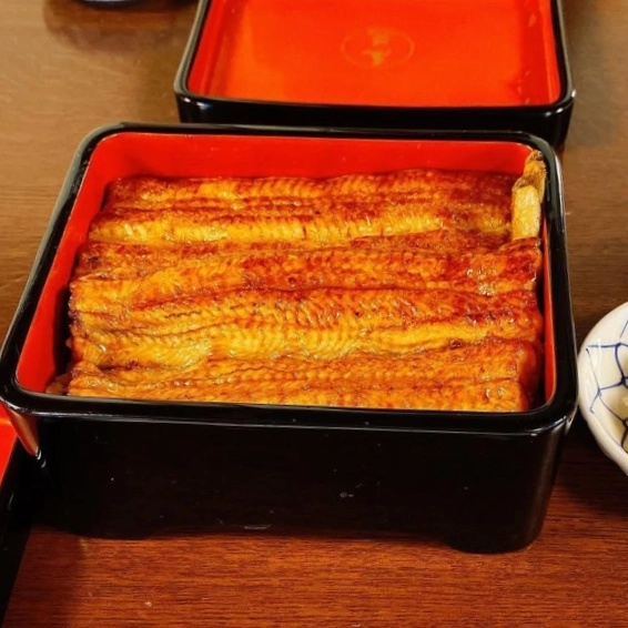 東京必吃鰻魚飯 尾花 鰻魚重