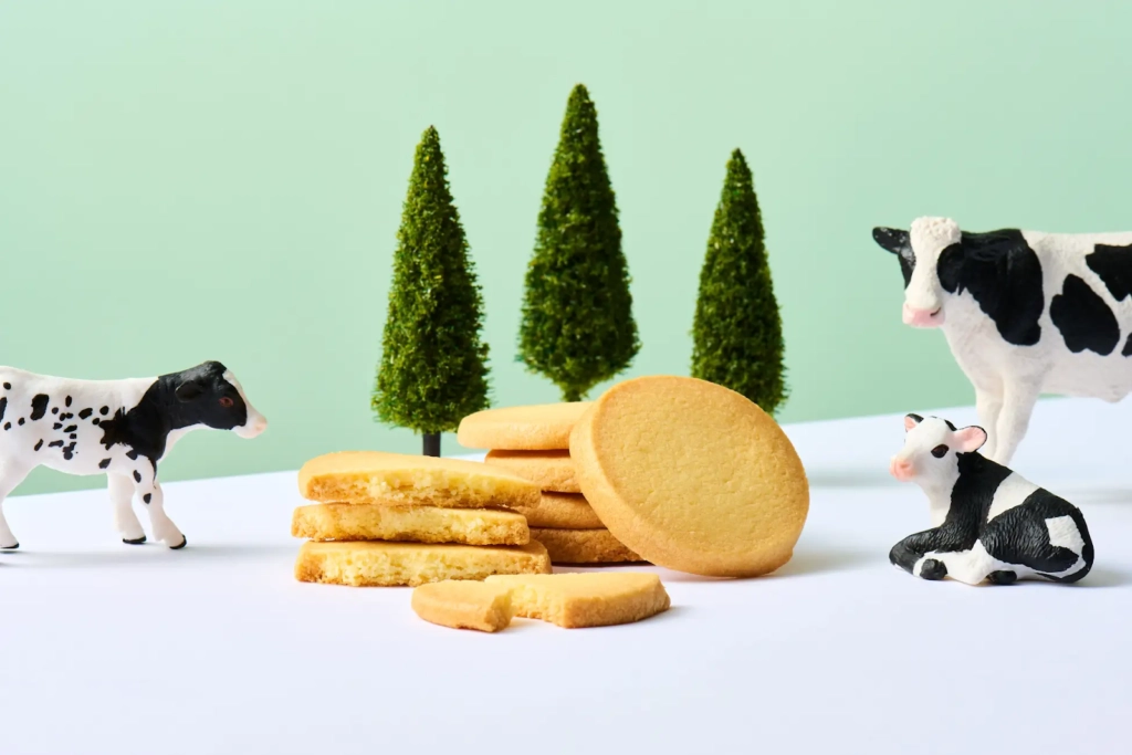 朝霧牛乳 奶油餅乾