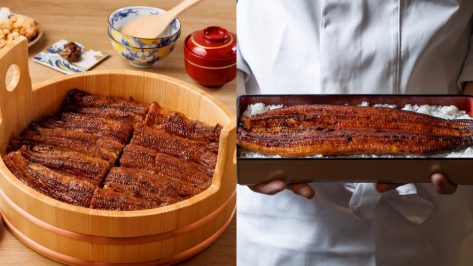 京都鰻魚飯推薦