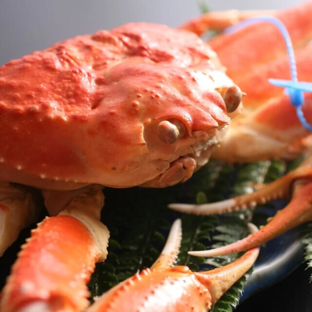 蟹道樂 道頓堀本店 新鮮螃蟹