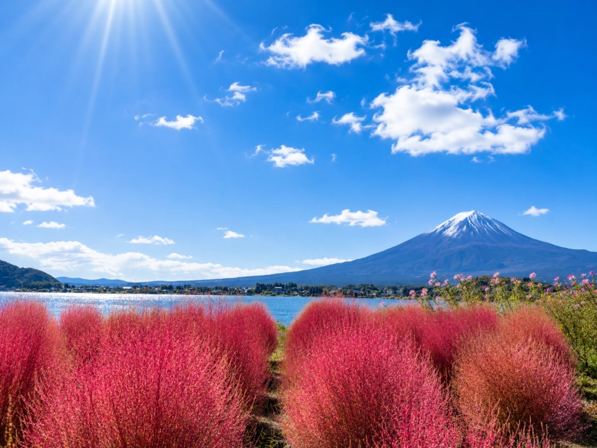 富士山河口湖秋天風景