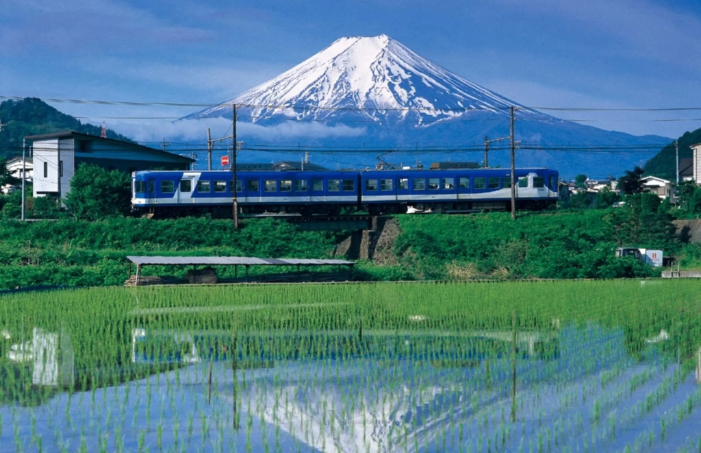 使用富士山周遊券搭乘電車